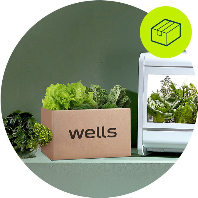 <em class='pcolor'><em class='pcolor'>웰스팜</em></em> 모둠 쌈 상추 패키지