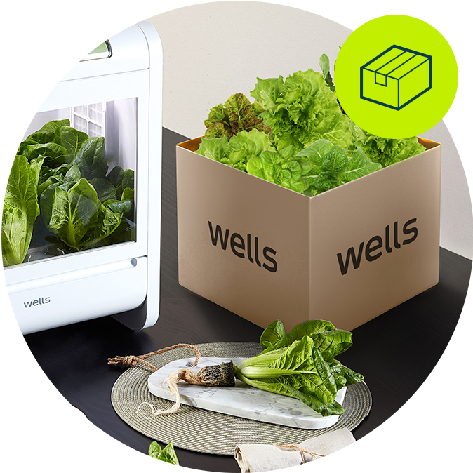 웰스팜 기능성 채소 패키지